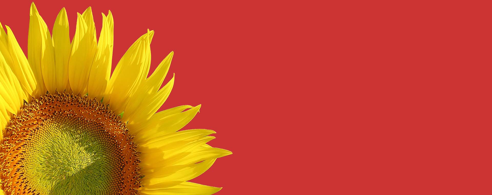 PRODUCTS FROM ALL OVER UKRAINE